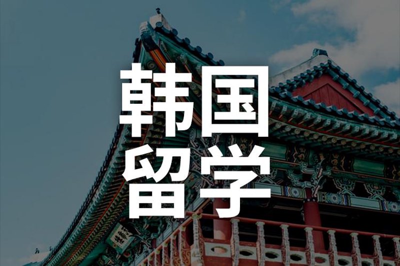 语言培训加盟，如何打造成功之道？